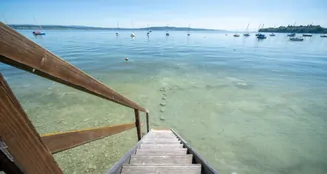 von_poll_real_estate_property_25031037_image_19