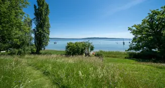 von_poll_real_estate_property_25031037_image_14