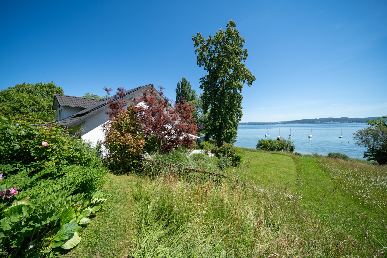 Seeblick