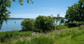 von_poll_real_estate_property_25031037_image_15