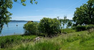 von_poll_real_estate_property_25031037_image_16