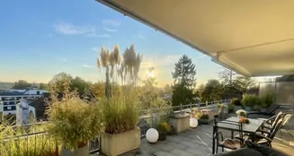 von_poll_real_estate_property_26031002_image_0