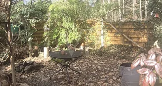 von_poll_real_estate_property_25048036_image_12