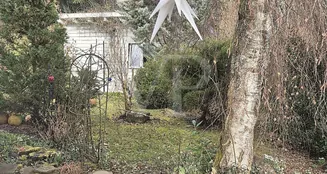 von_poll_real_estate_property_25048036_image_13