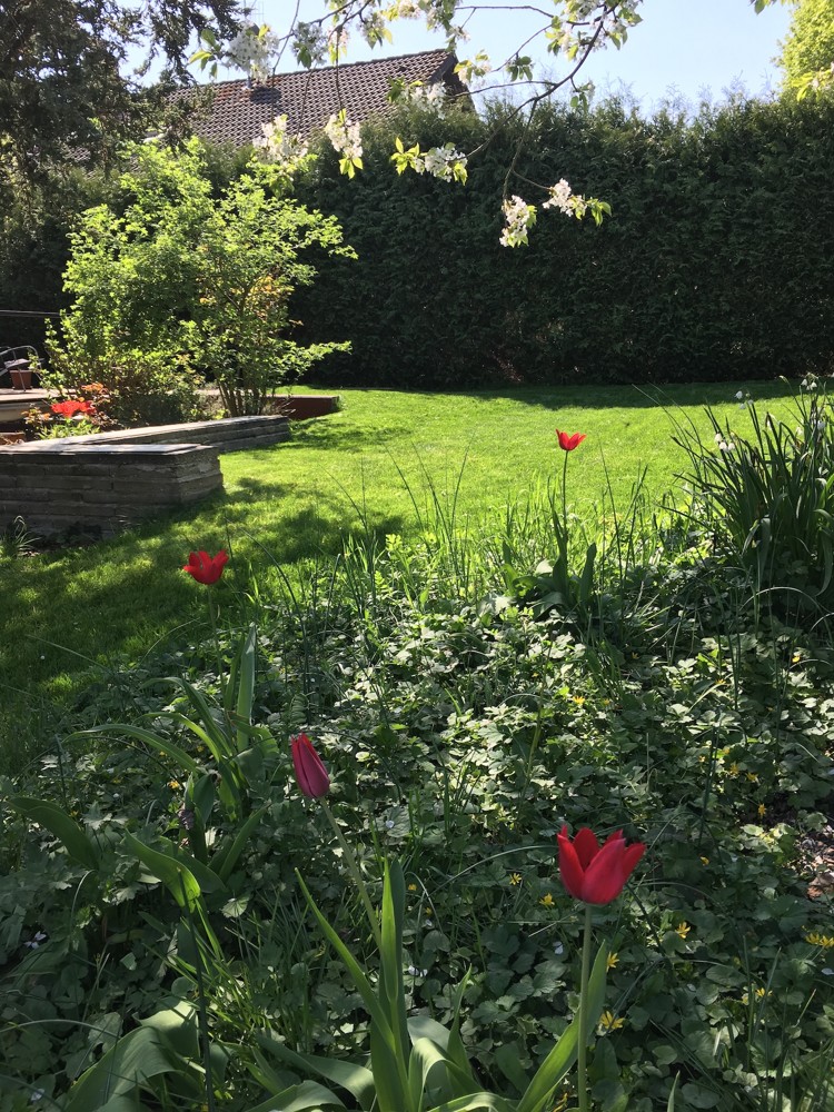 Garten Sommer