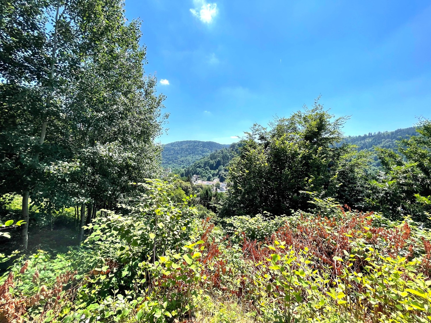 Aussicht untere Terrasse