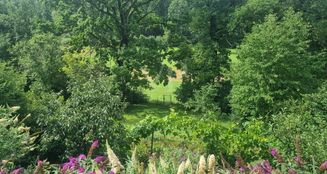 von_poll_real_estate_property_25048022_image_14