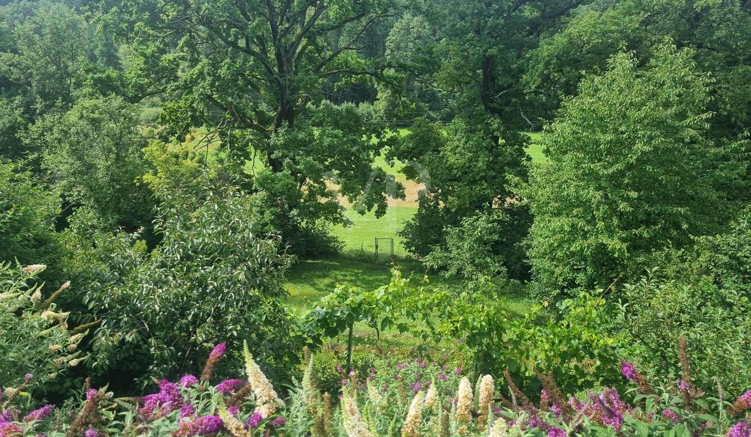 Blick ins Grüne / Gartenanlage