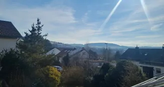 von_poll_real_estate_property_25048001_image_13