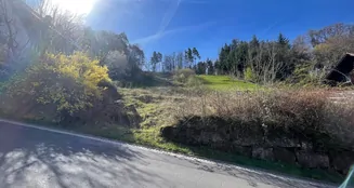 von_poll_real_estate_property_25048004_image_1