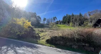 von_poll_real_estate_property_25048004_image_1