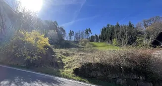 von_poll_real_estate_property_25048004_image_0