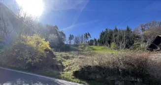 von_poll_real_estate_property_25048004_image_0