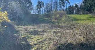 von_poll_real_estate_property_25048004_image_2