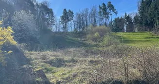 von_poll_real_estate_property_25048004_image_2