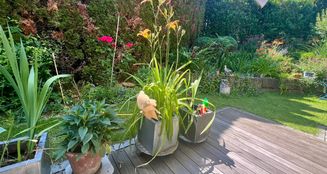 von_poll_real_estate_property_25048008_image_4
