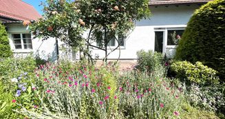 von_poll_real_estate_property_25048011_image_3