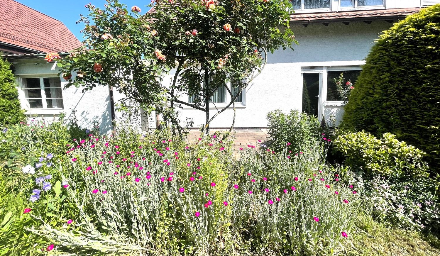 Ansicht Rückseite