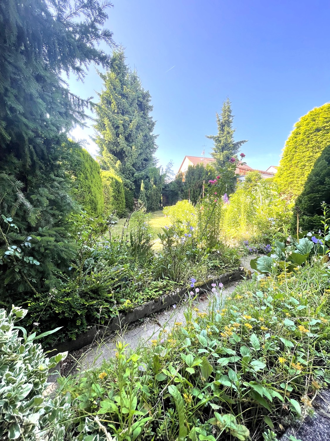 Blick in den Garten
