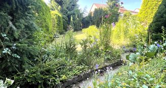 von_poll_real_estate_property_25048011_image_4