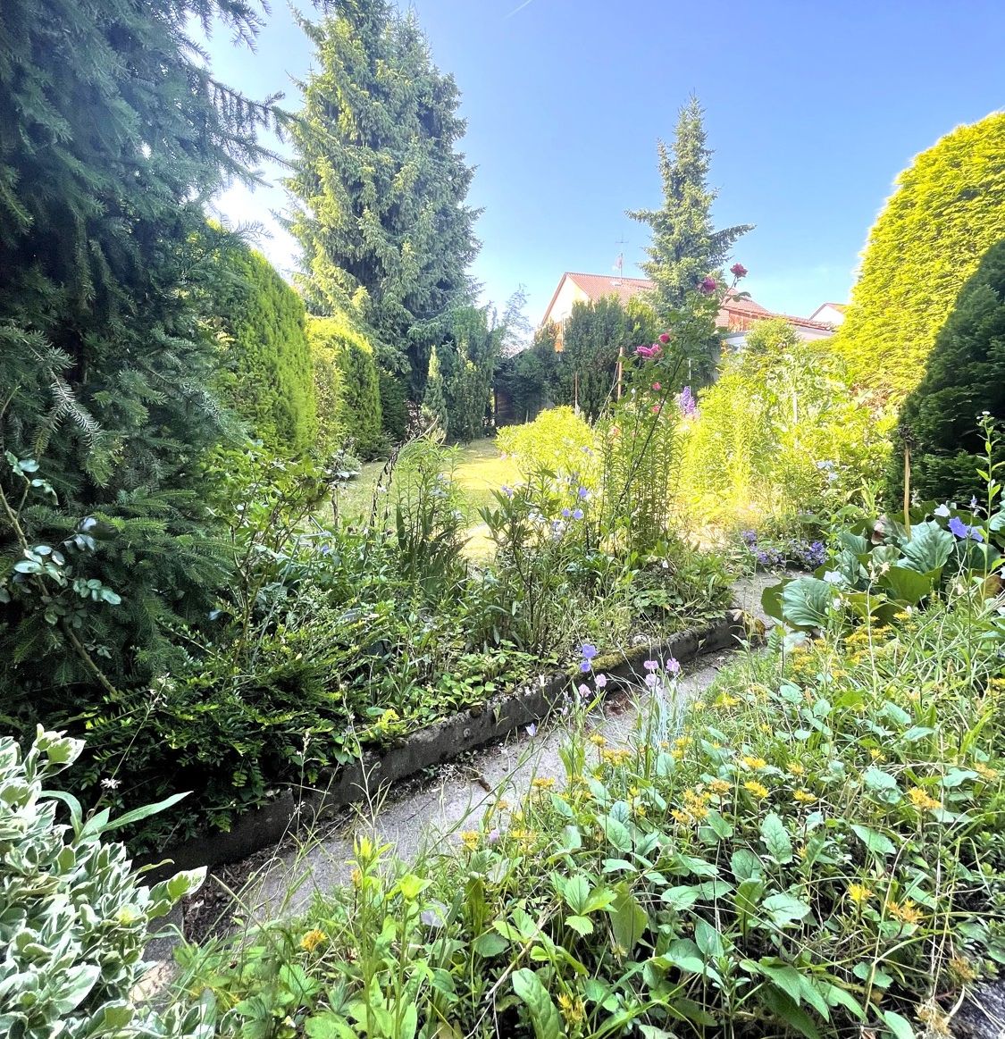 Blick in den Garten