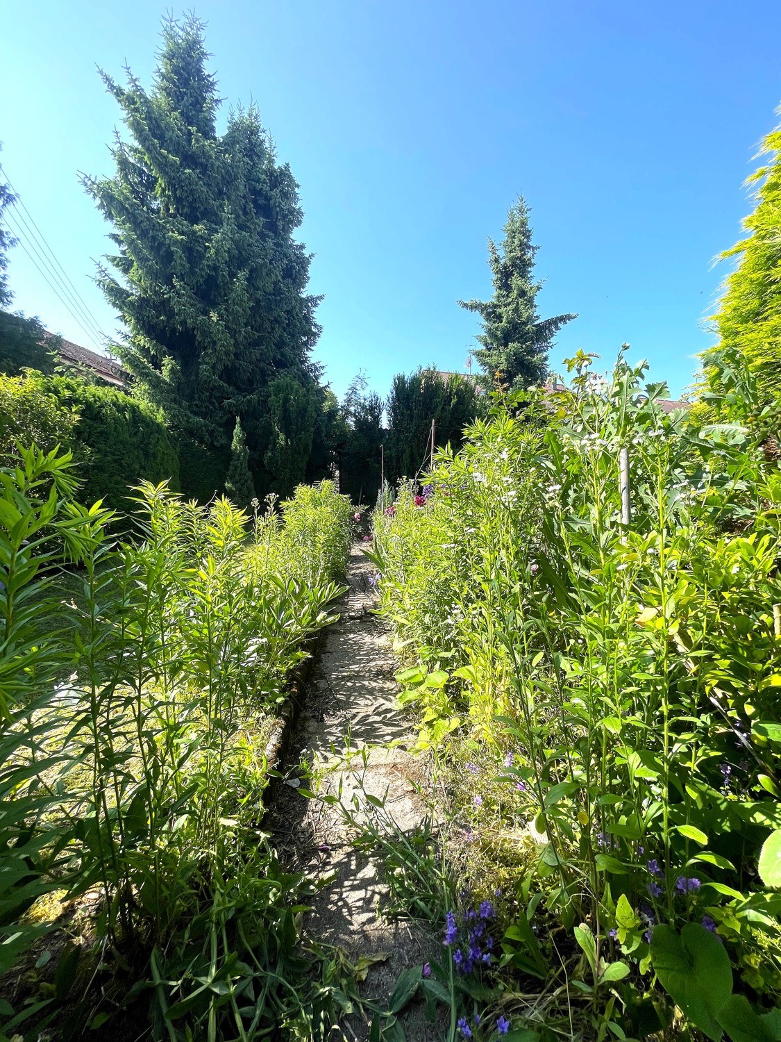 Gartenparadies