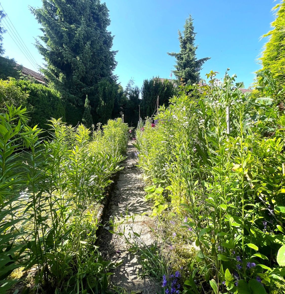 Gartenparadies