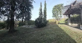 von_poll_real_estate_property_25048029_image_4