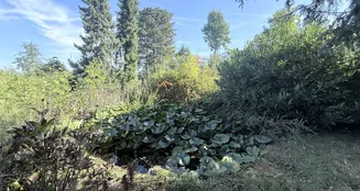 von_poll_real_estate_property_25048029_image_4