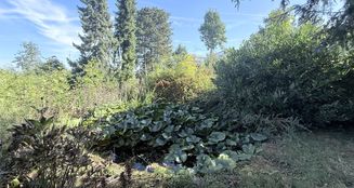 von_poll_real_estate_property_25048029_image_4