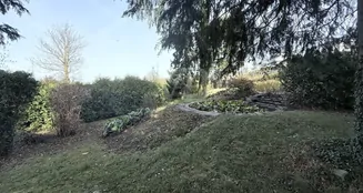 von_poll_real_estate_property_25048029_image_6