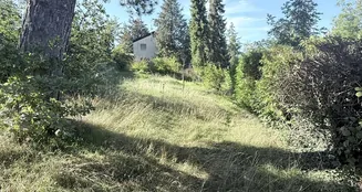 von_poll_real_estate_property_25048029_image_2