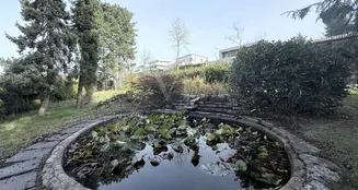 von_poll_real_estate_property_25048029_image_3