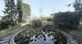 von_poll_real_estate_property_25048029_image_3