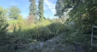 von_poll_real_estate_property_25048029_image_3