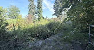 von_poll_real_estate_property_25048029_image_3