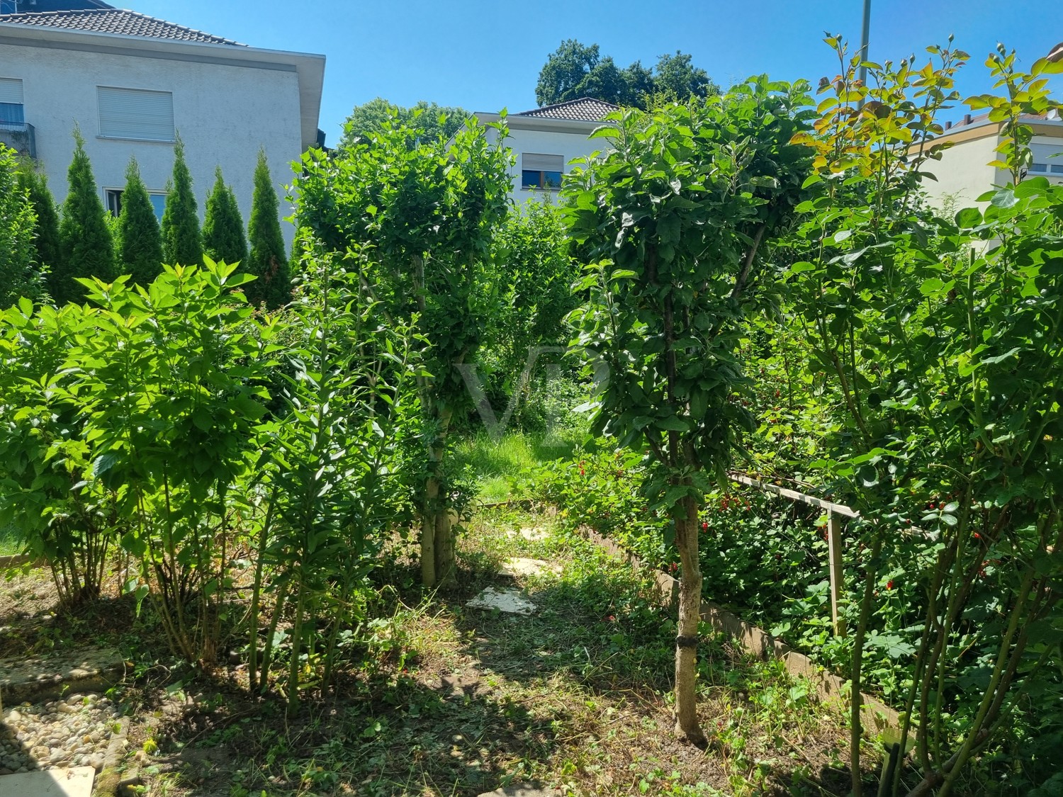 Gartenbereich