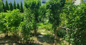 von_poll_real_estate_property_25048016_image_4