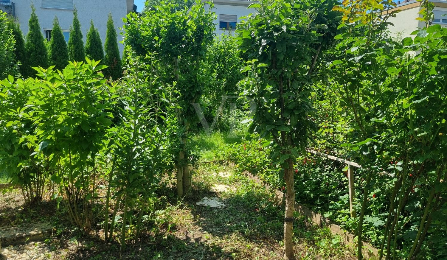 Gartenbereich