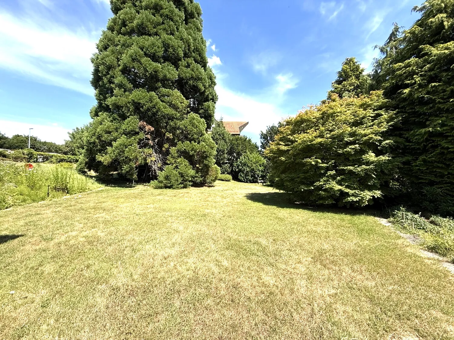 A sunny spot for your new home