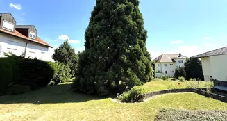 von_poll_real_estate_property_25048020_image_2