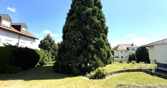 von_poll_real_estate_property_25048020_image_2