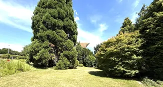 von_poll_real_estate_property_25048020_image_0