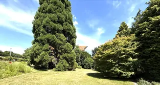 von_poll_real_estate_property_25048020_image_0