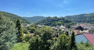 von_poll_real_estate_property_25048018i_image_3