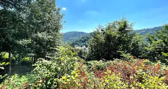 von_poll_real_estate_property_25048018i_image_23