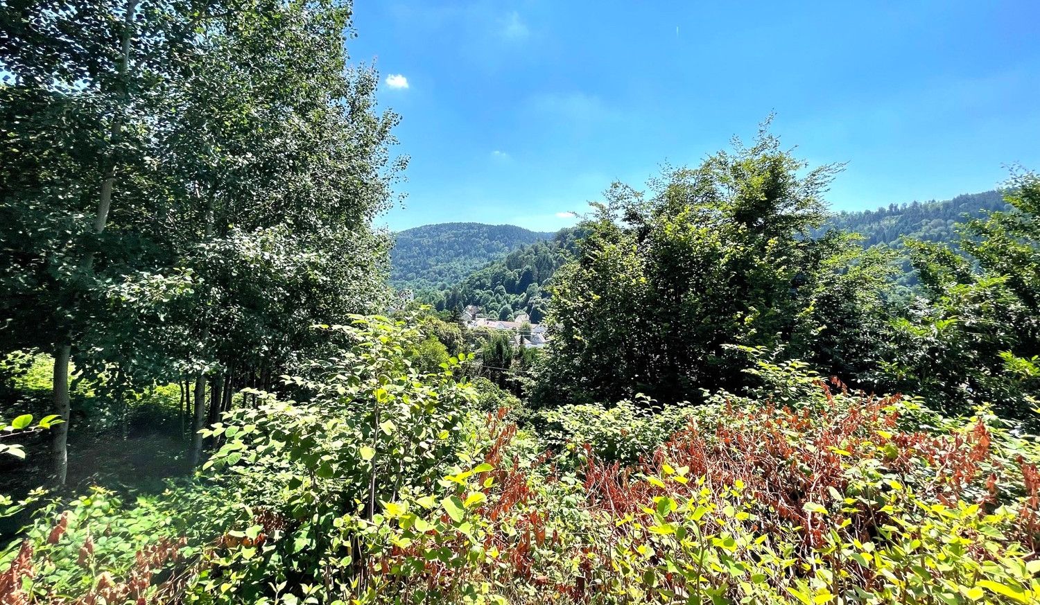 Aussicht untere Terrasse