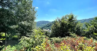 von_poll_real_estate_property_25048018i_image_23