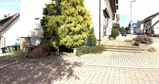 von_poll_real_estate_property_25048027_image_30