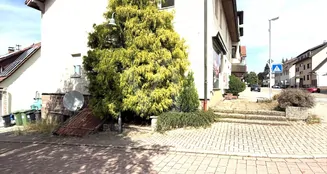 von_poll_real_estate_property_25048027_image_30